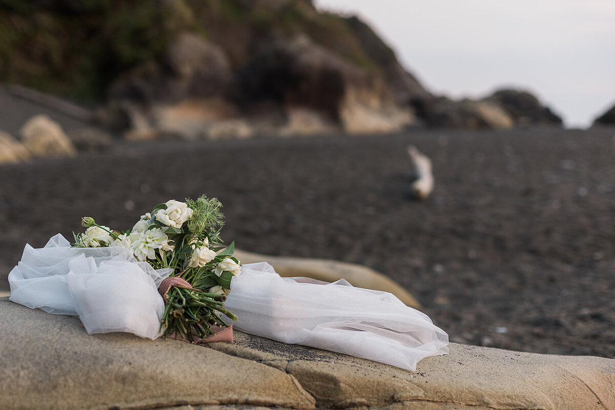 Olympic National Park Elopement  - Tara Nichole Photo - 2023 - Kyle and Keaton-227