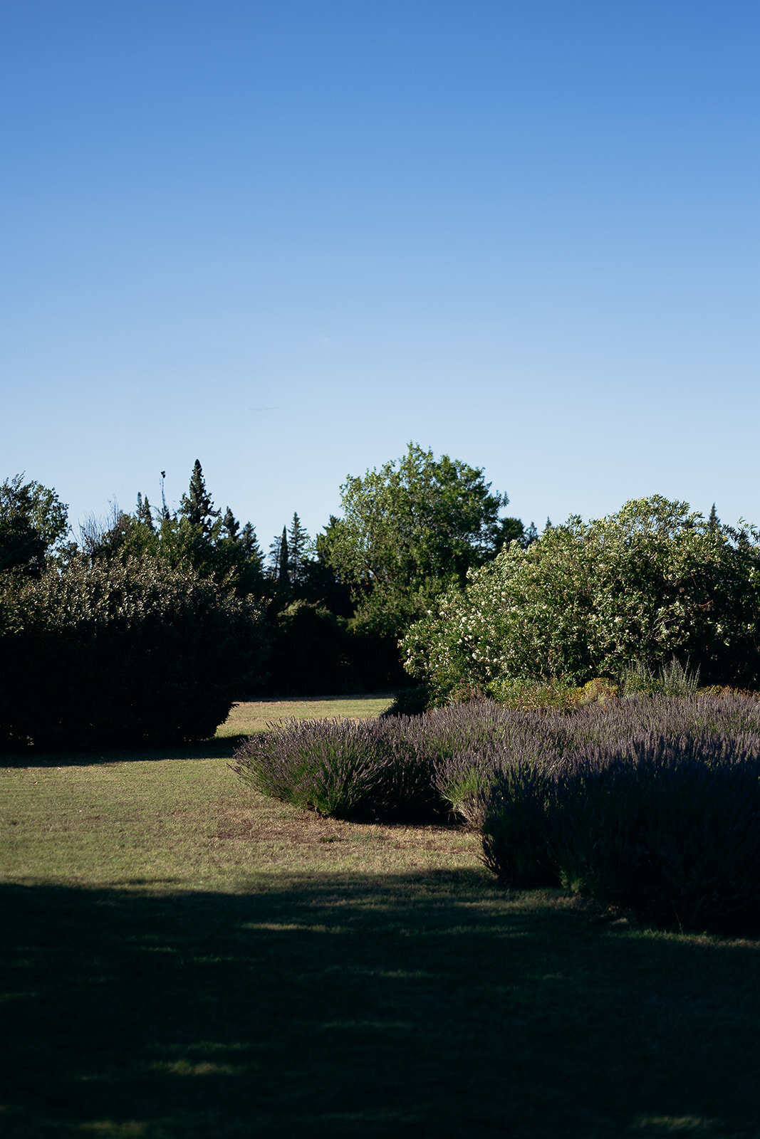 retourdemarche_frenchkisswedding_cleyaasulon-0591
