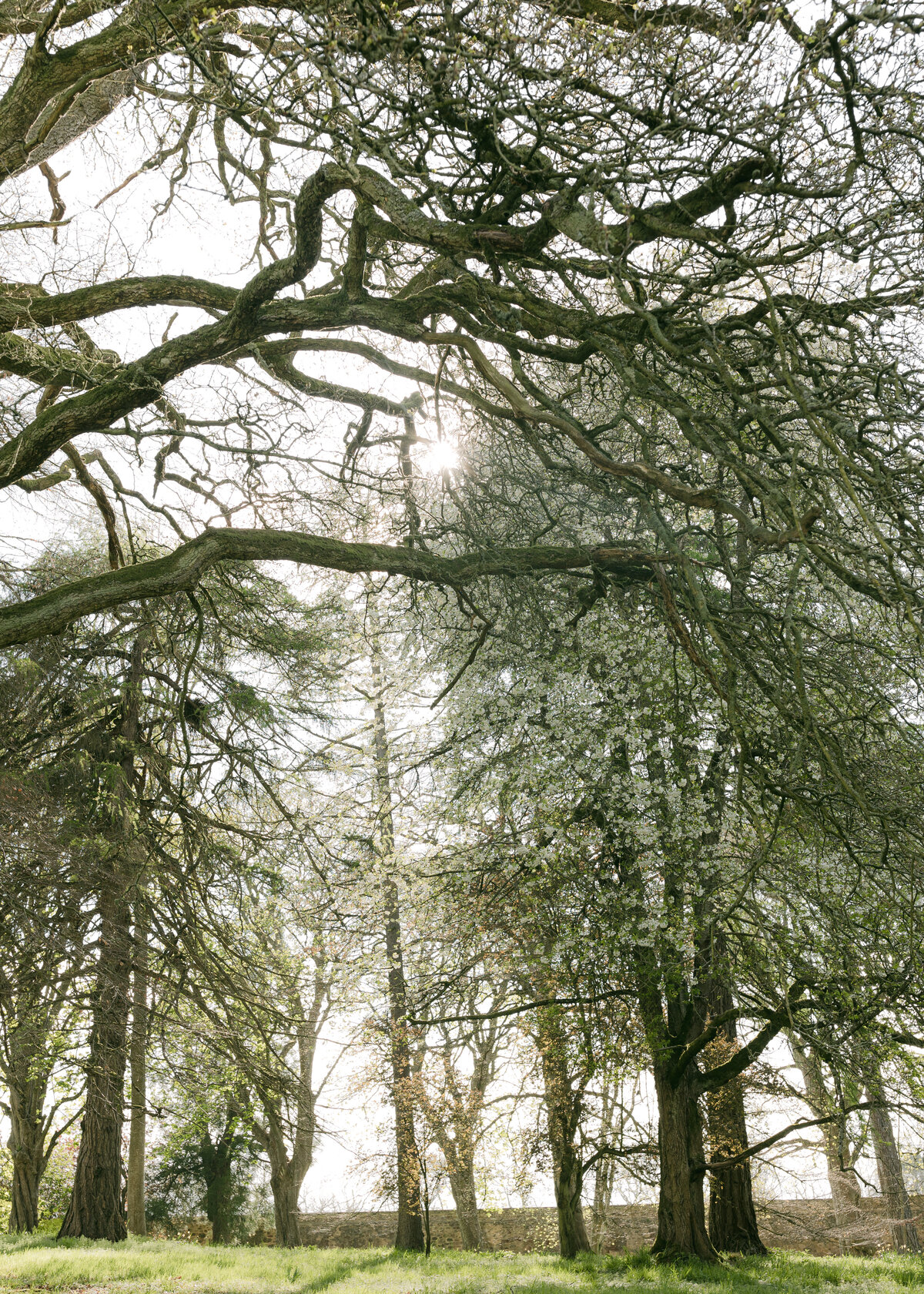 Corrie-Wilf-Wedding-Yester-Estate-Chloe-Winstanley-Photography-210