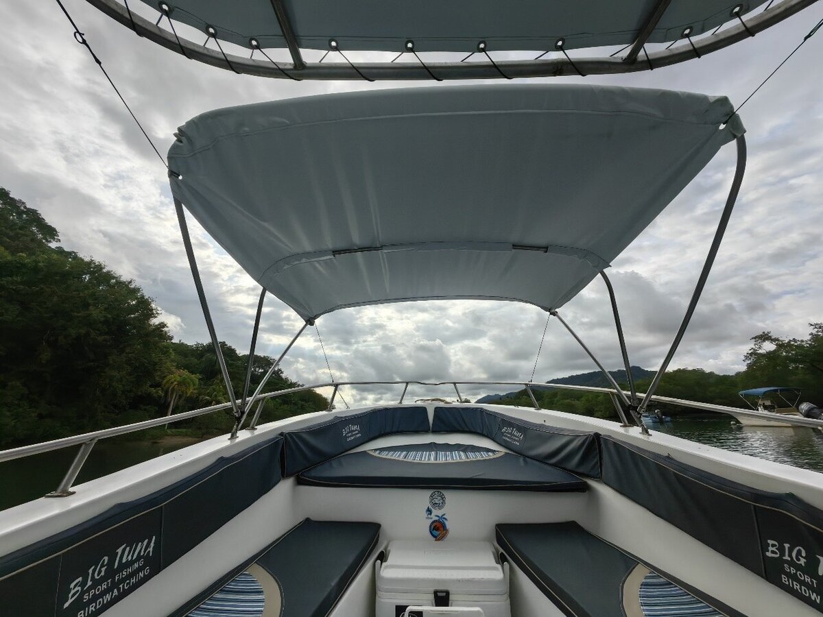 e097b70c-a9f2-471f-96ec-9328aa017ec7