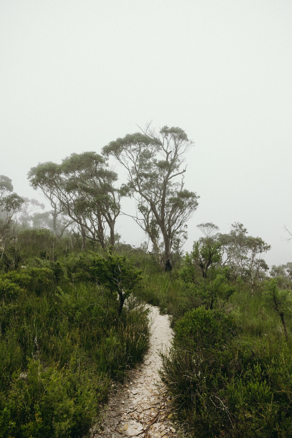 Crystal-Jack-Blue-Mountains-Elopement-7