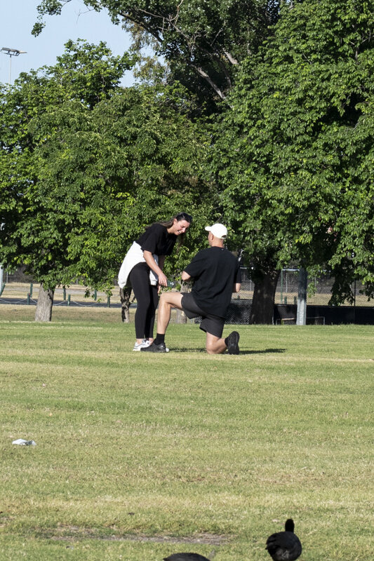Surprise-Proposal-Liminal-Wonderland-Melbourne016