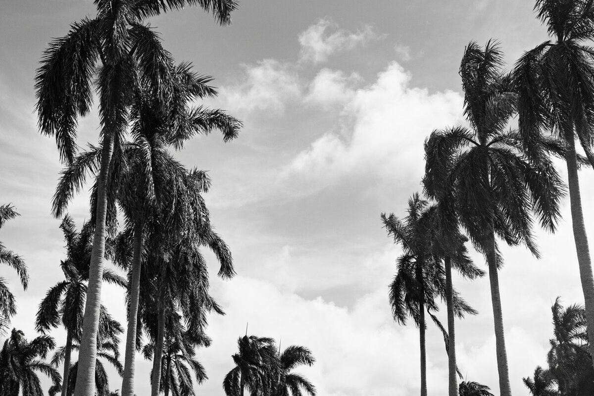 preview | gabriella & gary 0002