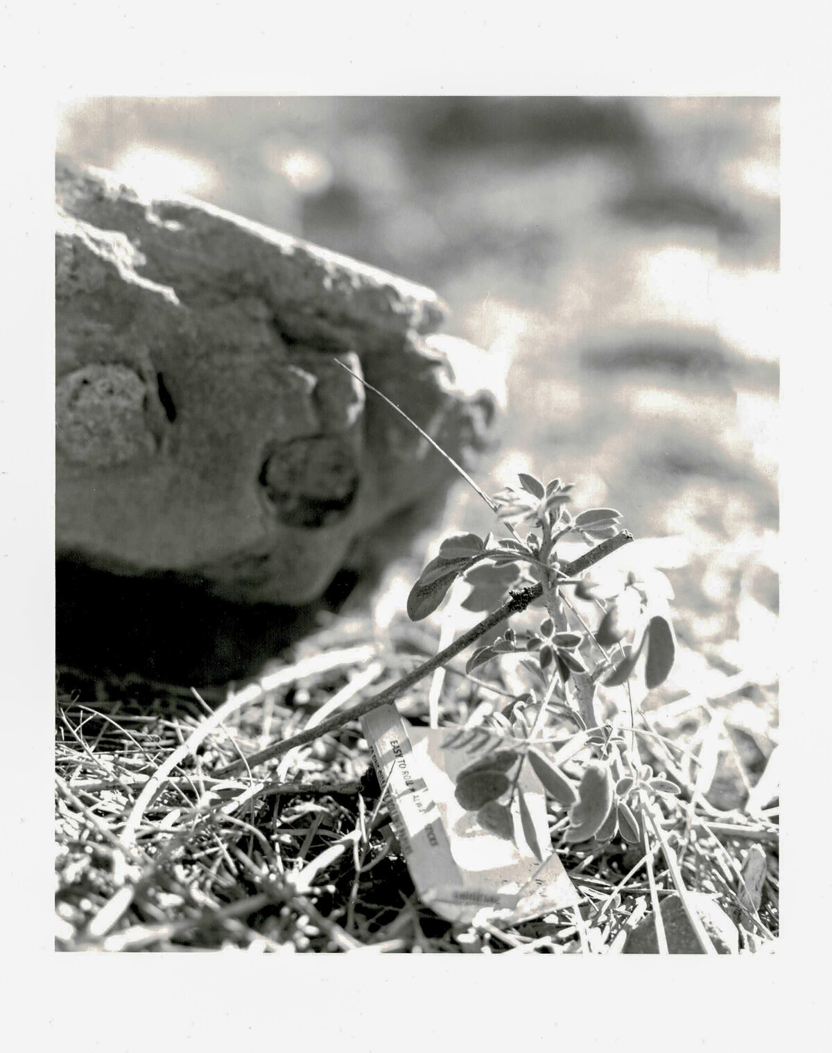 darkroomprintscan-39
