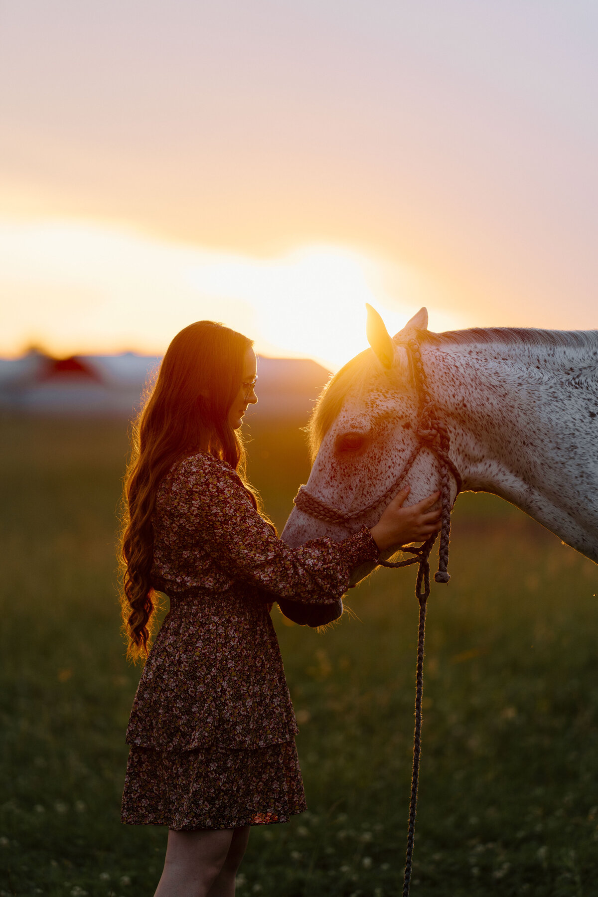 a girl and her horse at sunset in Ontario captured by an equine photographer
