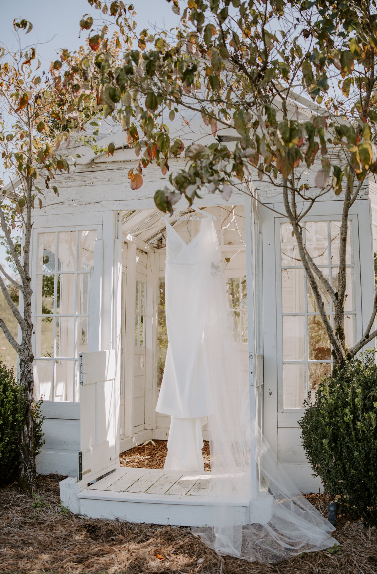 samantha-harrell-photography-3