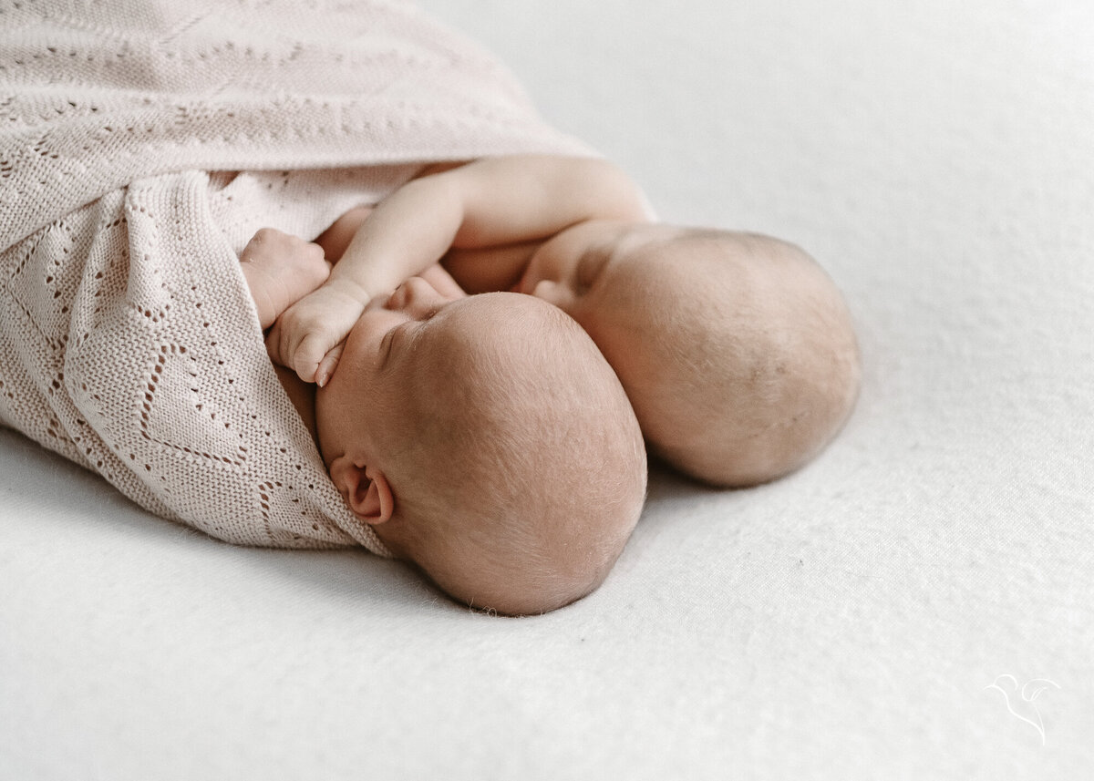 Twin babies cuddle under a blanket during a newborn shoot