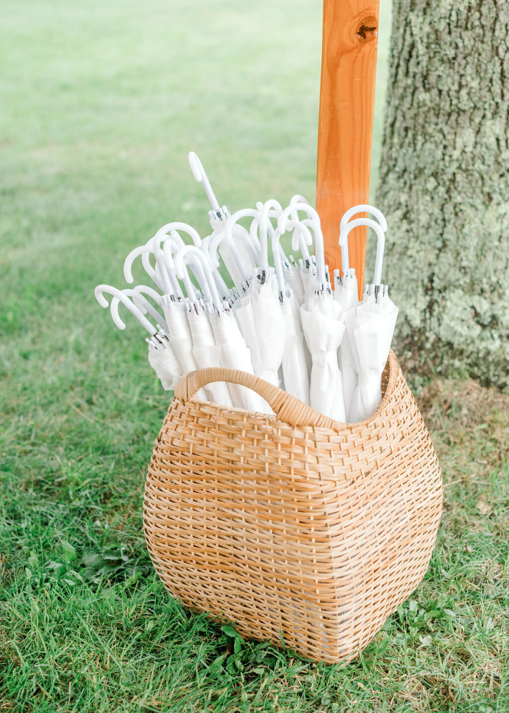 michelle-dunham-photography-cape-cod-wedding-photographer-orleans-smith-estate-reception-sperry-tent-details-47