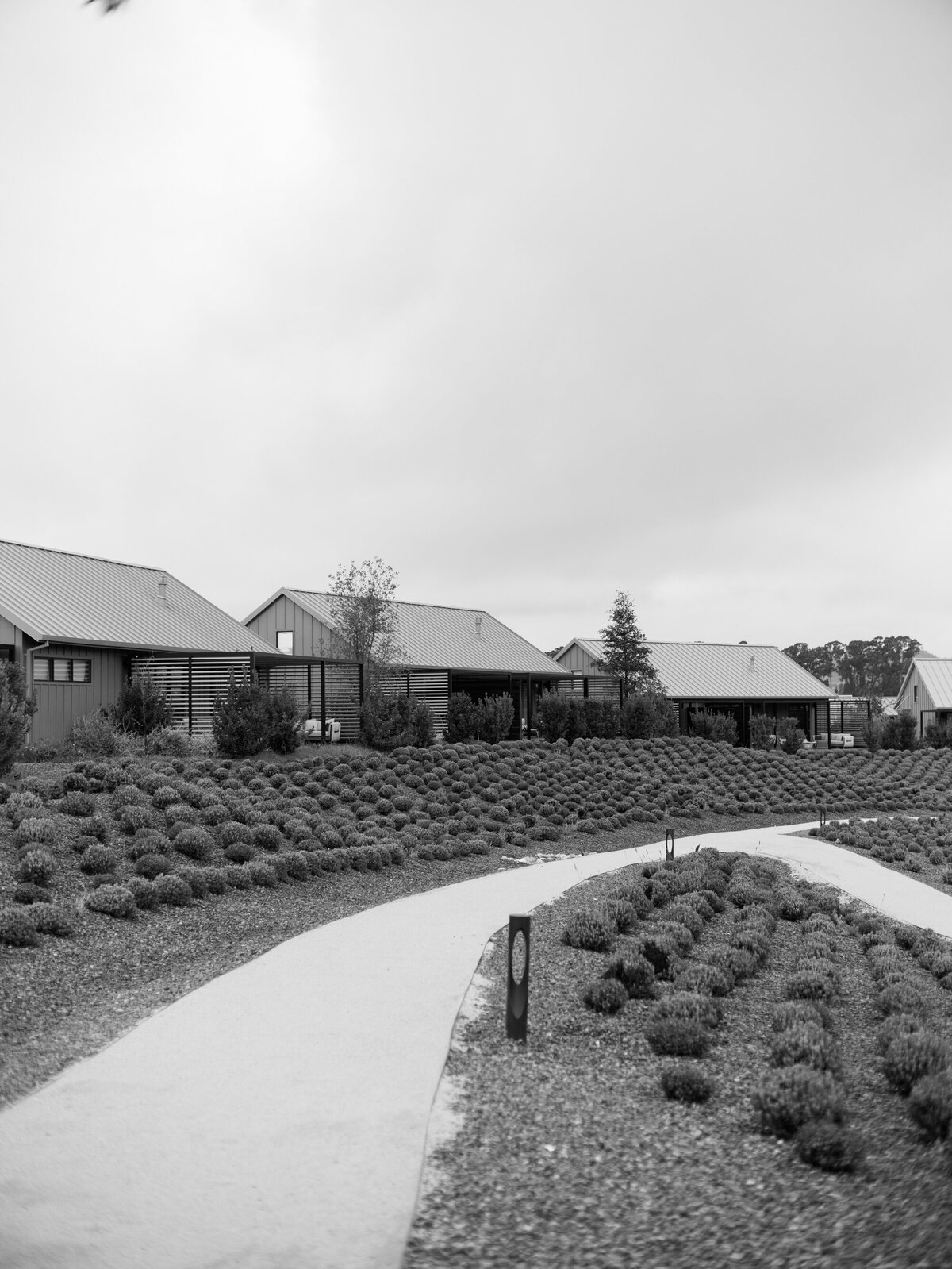 Stanly_Ranch_Wedding-00015