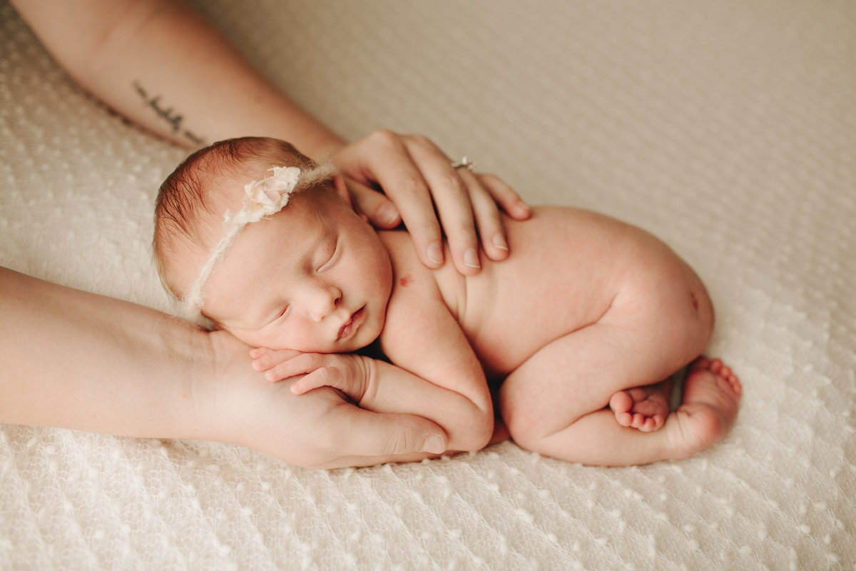 newborn portraits cleveland ohio