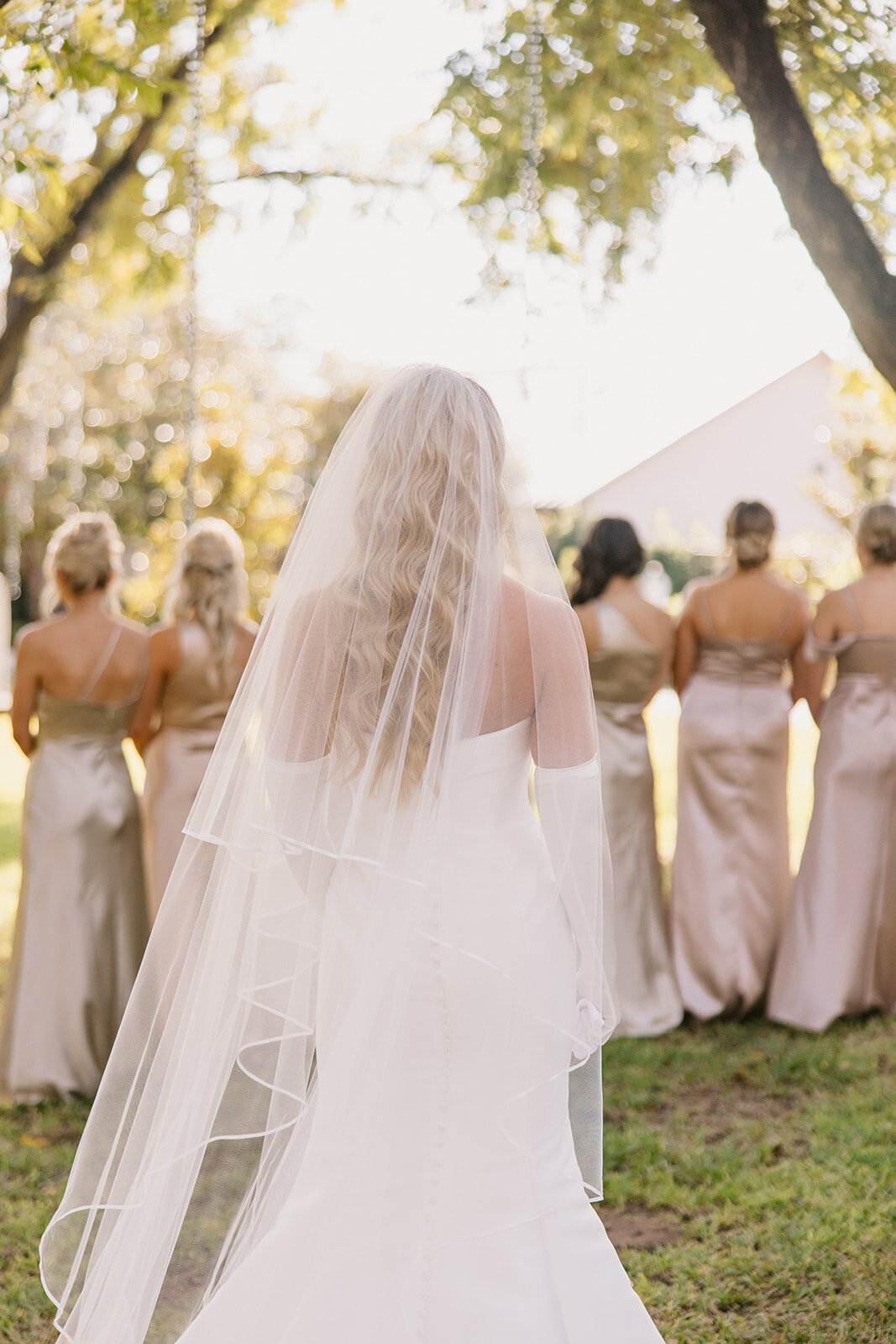 Dress Reveal with Bridesmaids-2