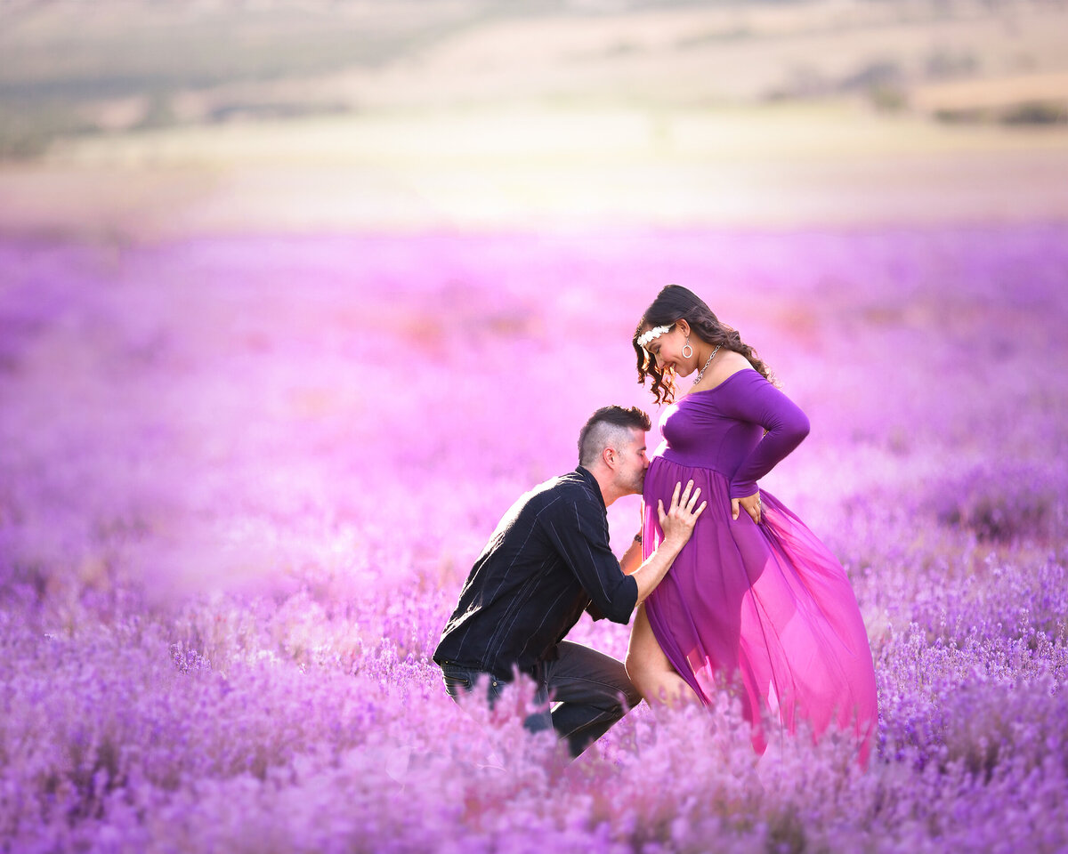 Issis_Ben_Lavender_Fields_1