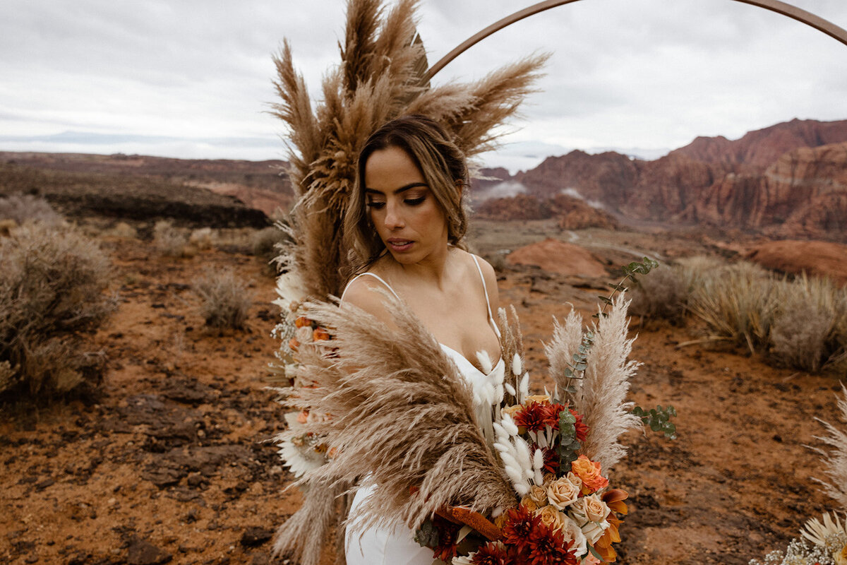 ZionSnowCanyon-dallinhassard-2971