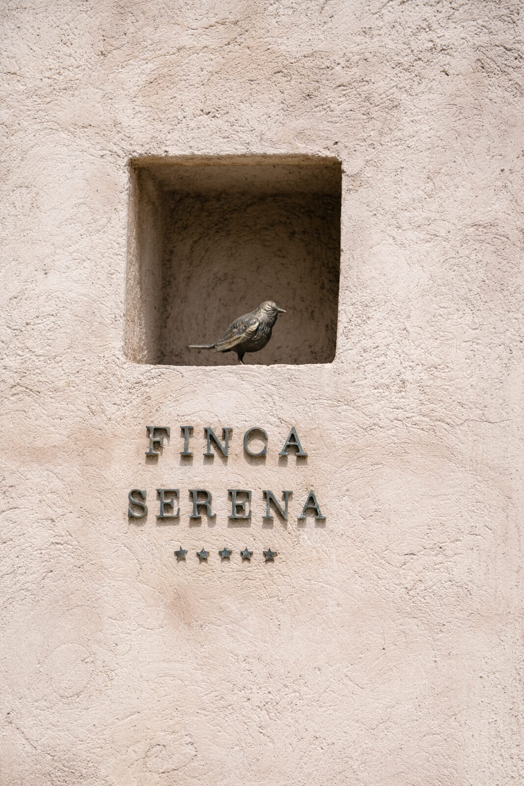 Finca Serena Mallorca Destination Wedding Photographer Maria Hibbs-396