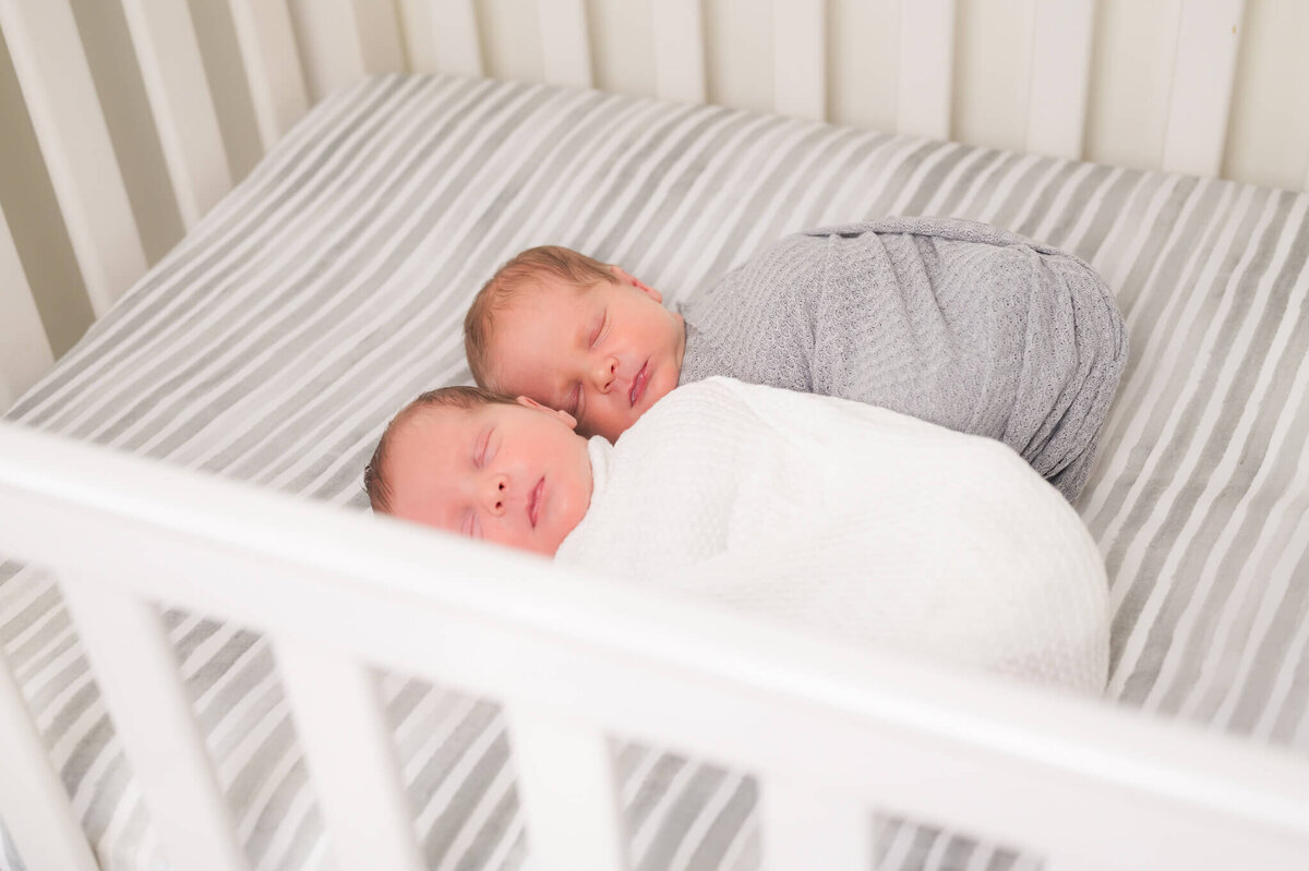 Twin newborns posing for newborn photos