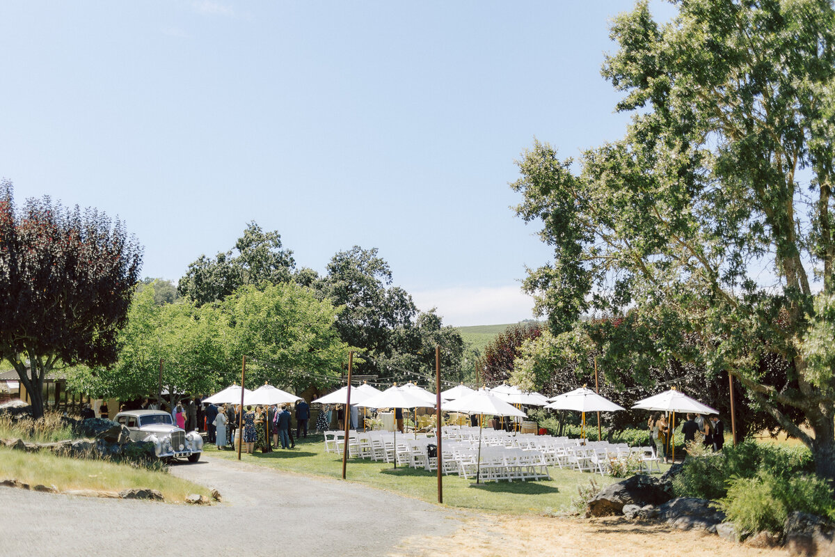 0385_gretchen_gause_photo_healdsburg_wedding_Arista_Winery_Little_Saint_2024-