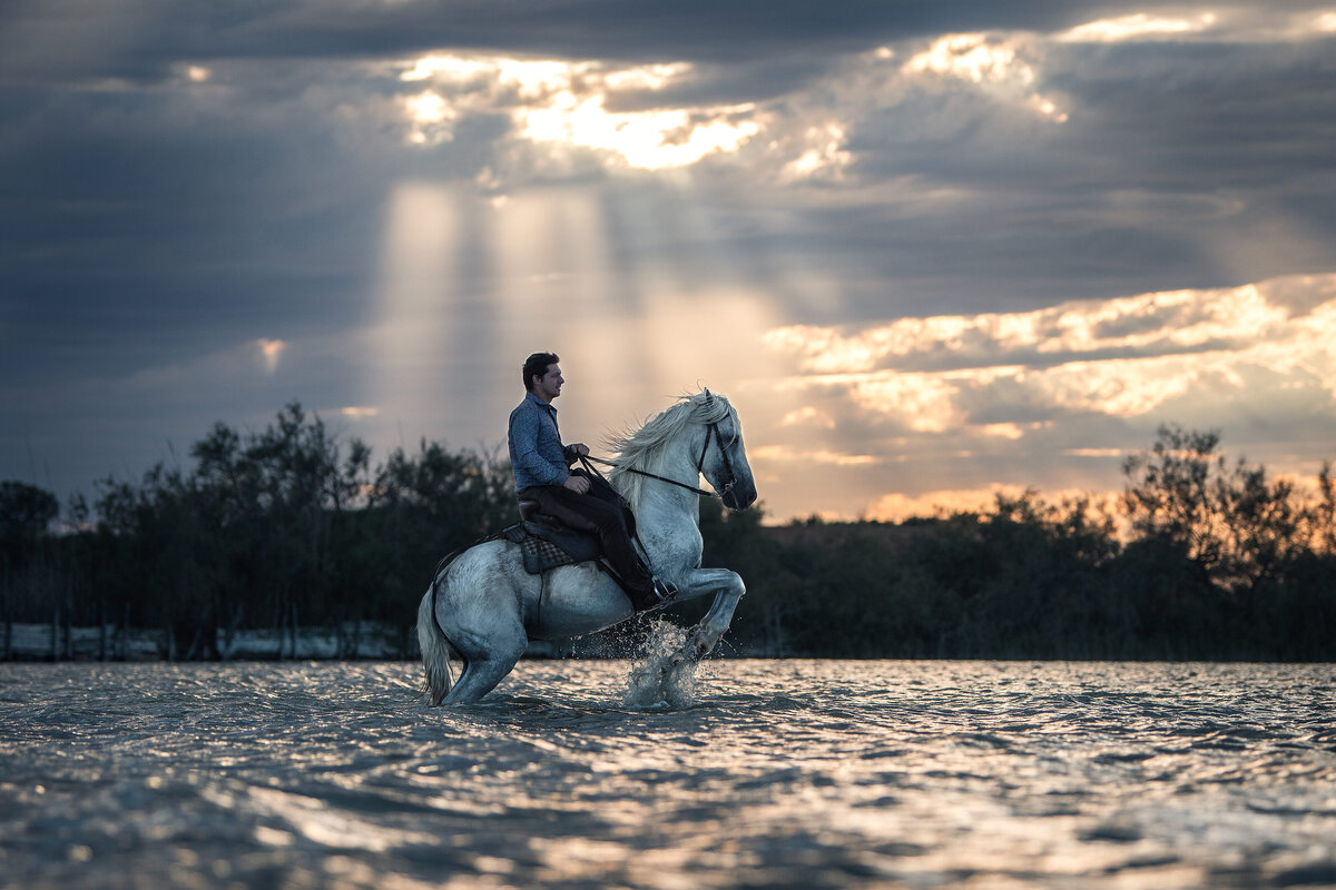 Steigenes-Pferd-im-Wasser-Bild-Pferdefotografie-aesthetisch