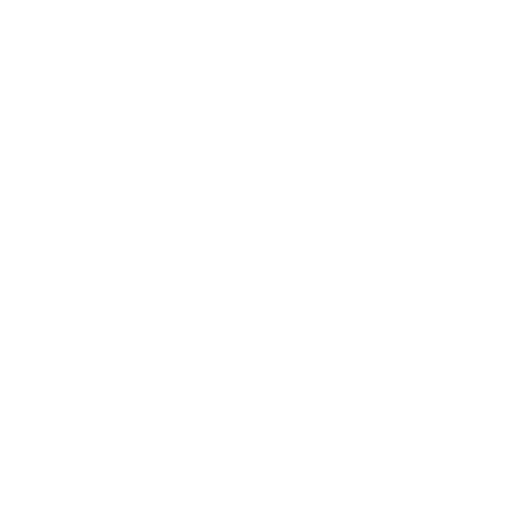 Comfort Inn by Choice Hotels White Logo