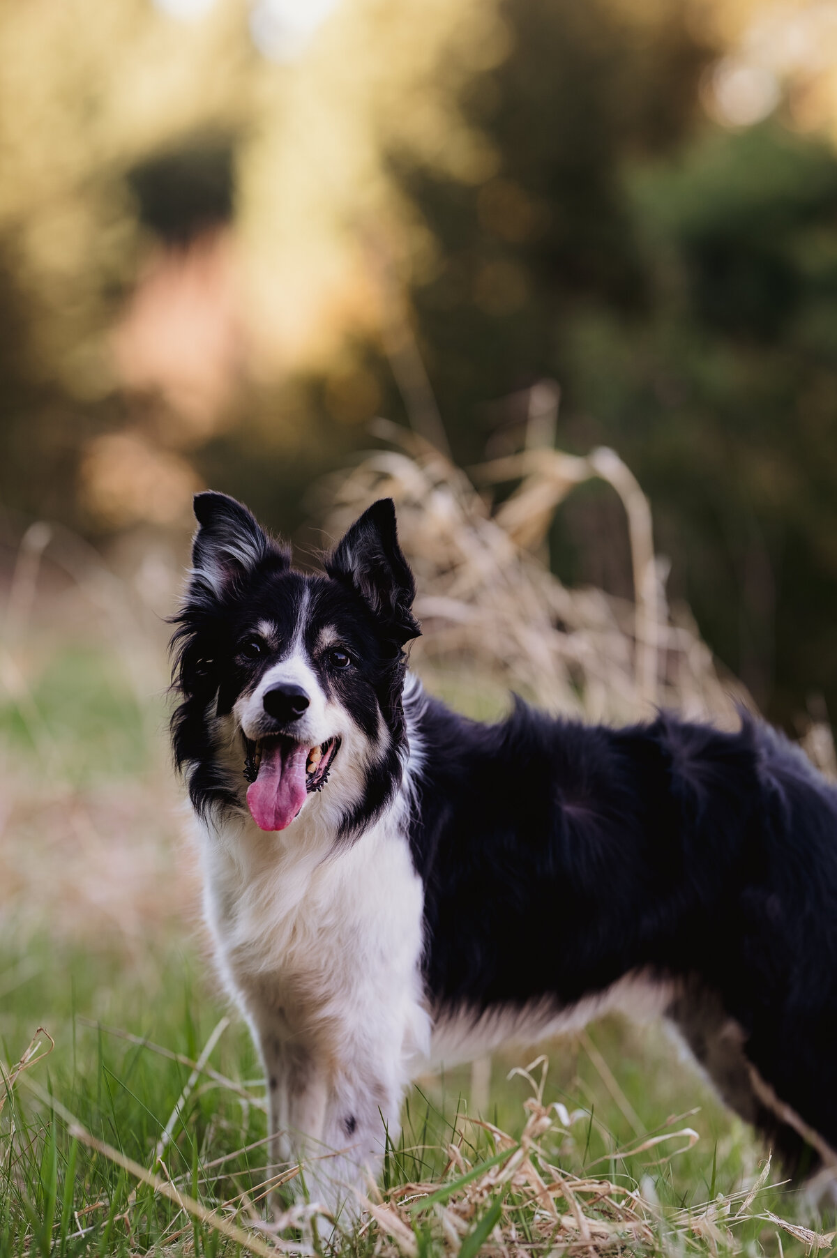 HelenS_Spring2025_022