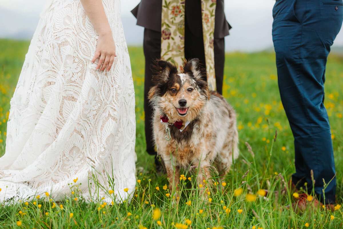 Max-Patch-NC-Elopement-11