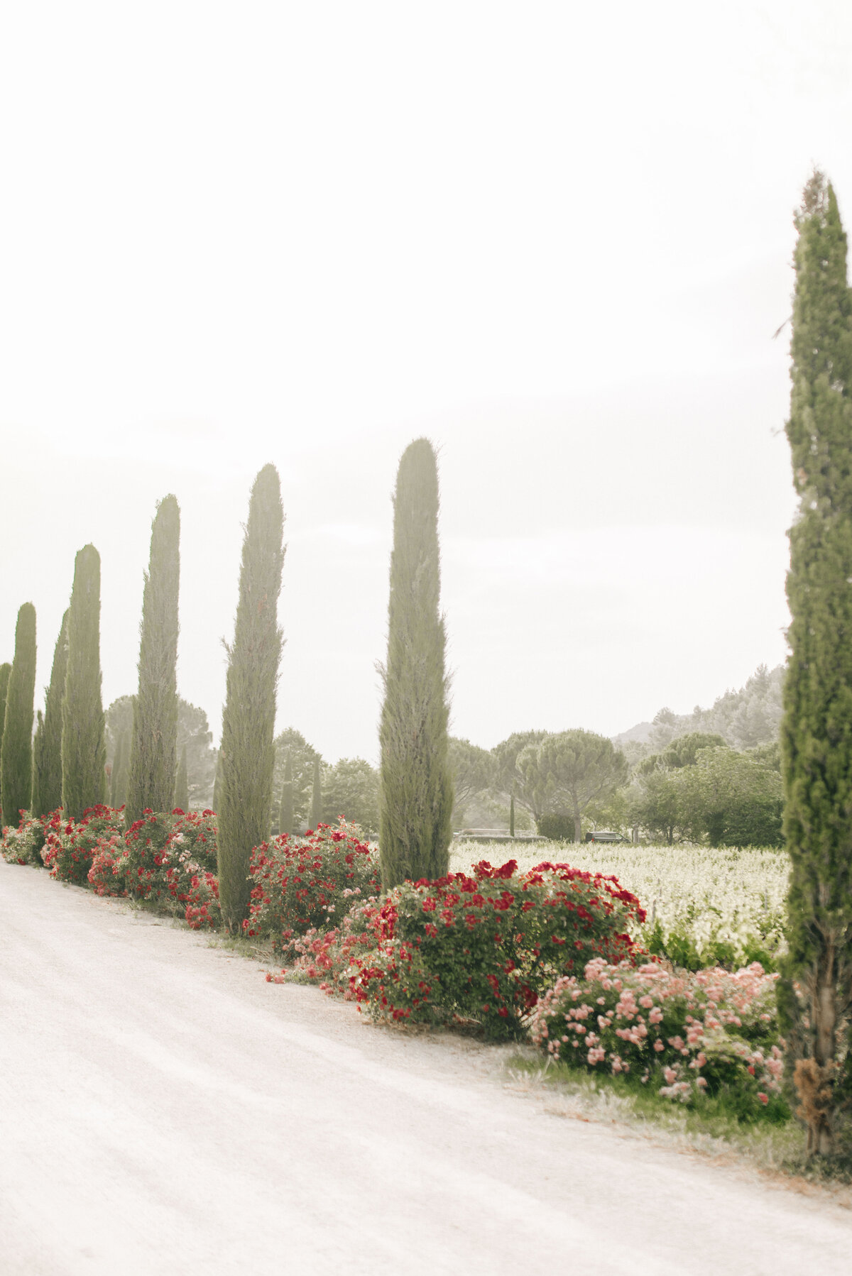 Provence_Luxury_Wedding_Photographer-63