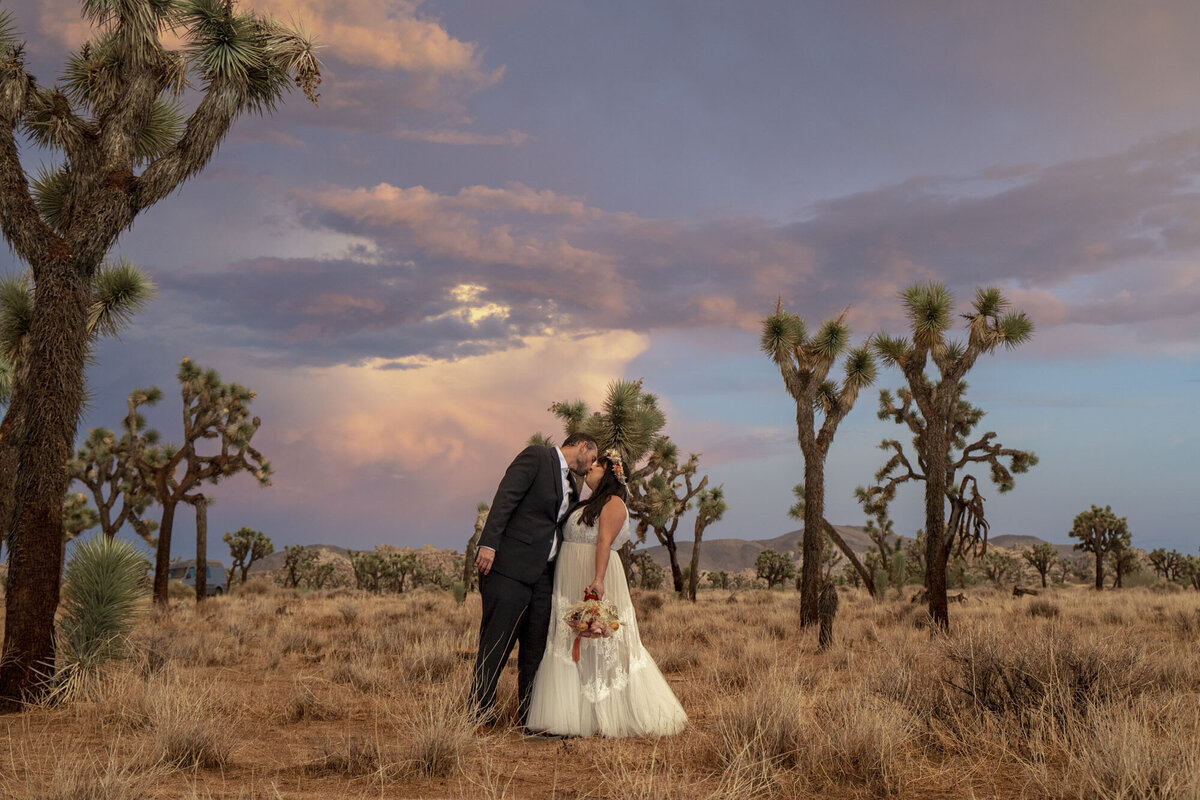 Mattie-ONeill-Photography-Southern-California-Wedding-Photographer113