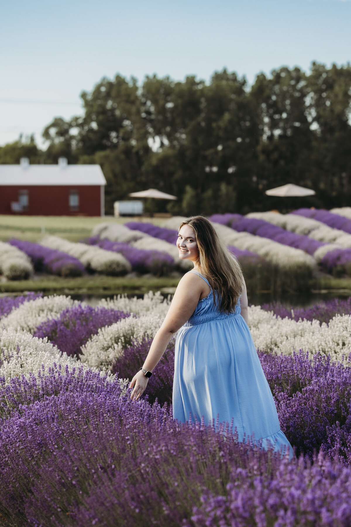 Senior walking through lavender fields at Lavender Life Farms in Caledonia.