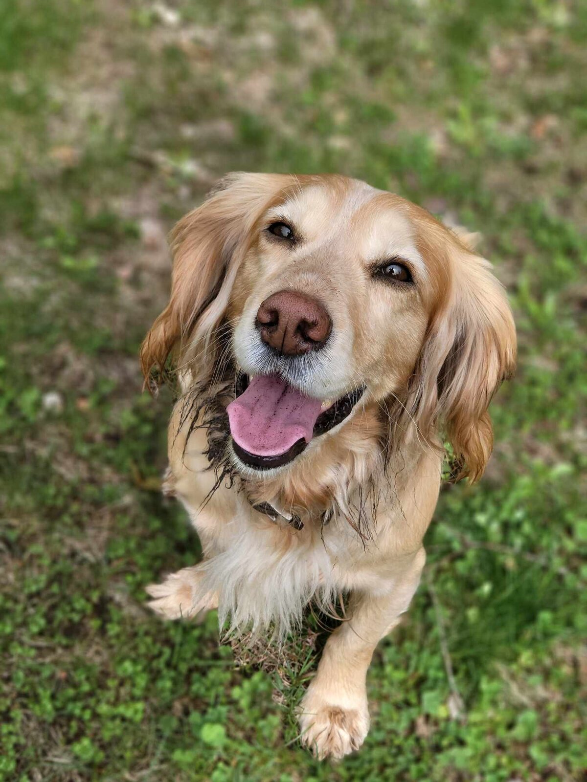 Cali smile