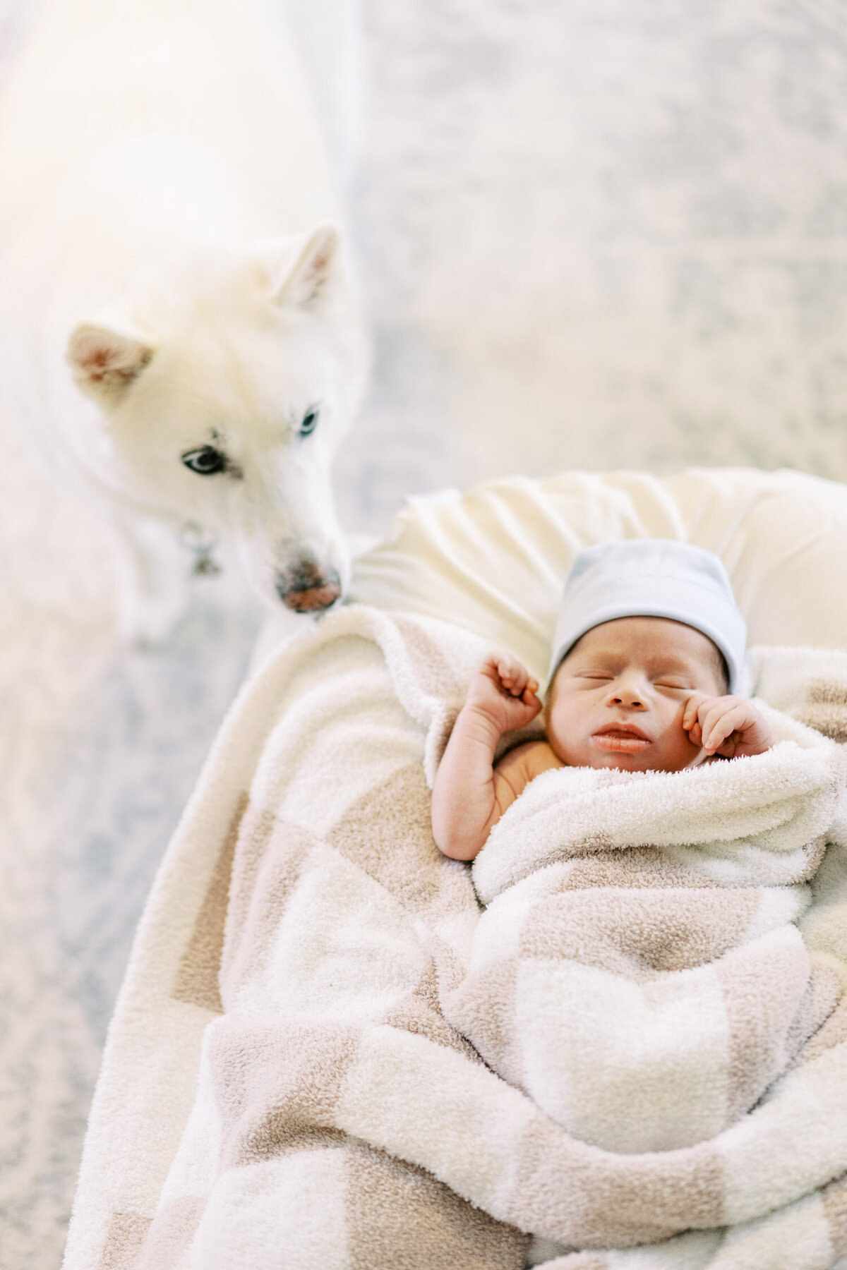 Naples In-Home Newborn Photos | Brittany Bekas-1