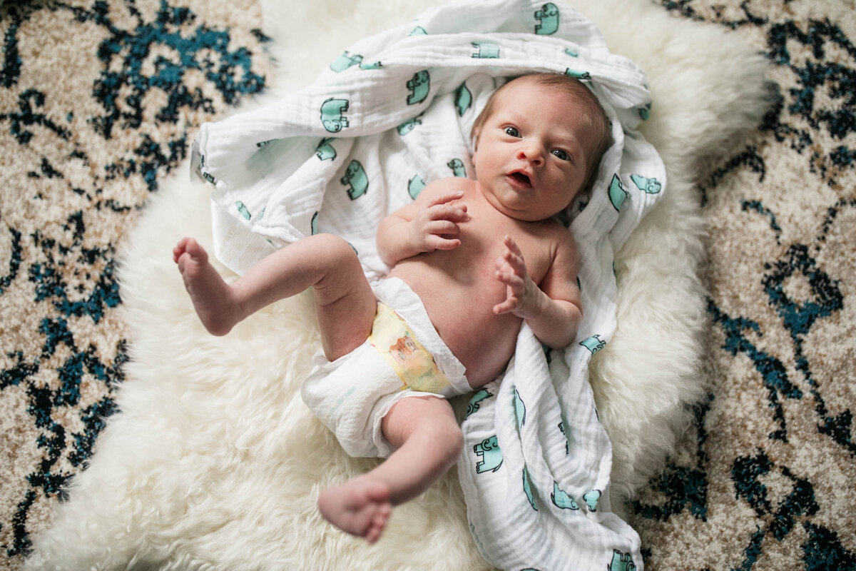 candid-natural-boston-newborn-family-photographer-zev-fisher-049