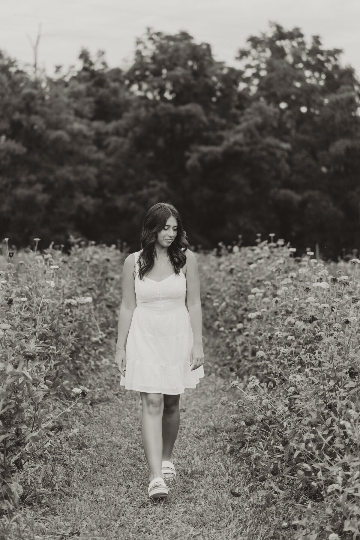 CAMERON-009