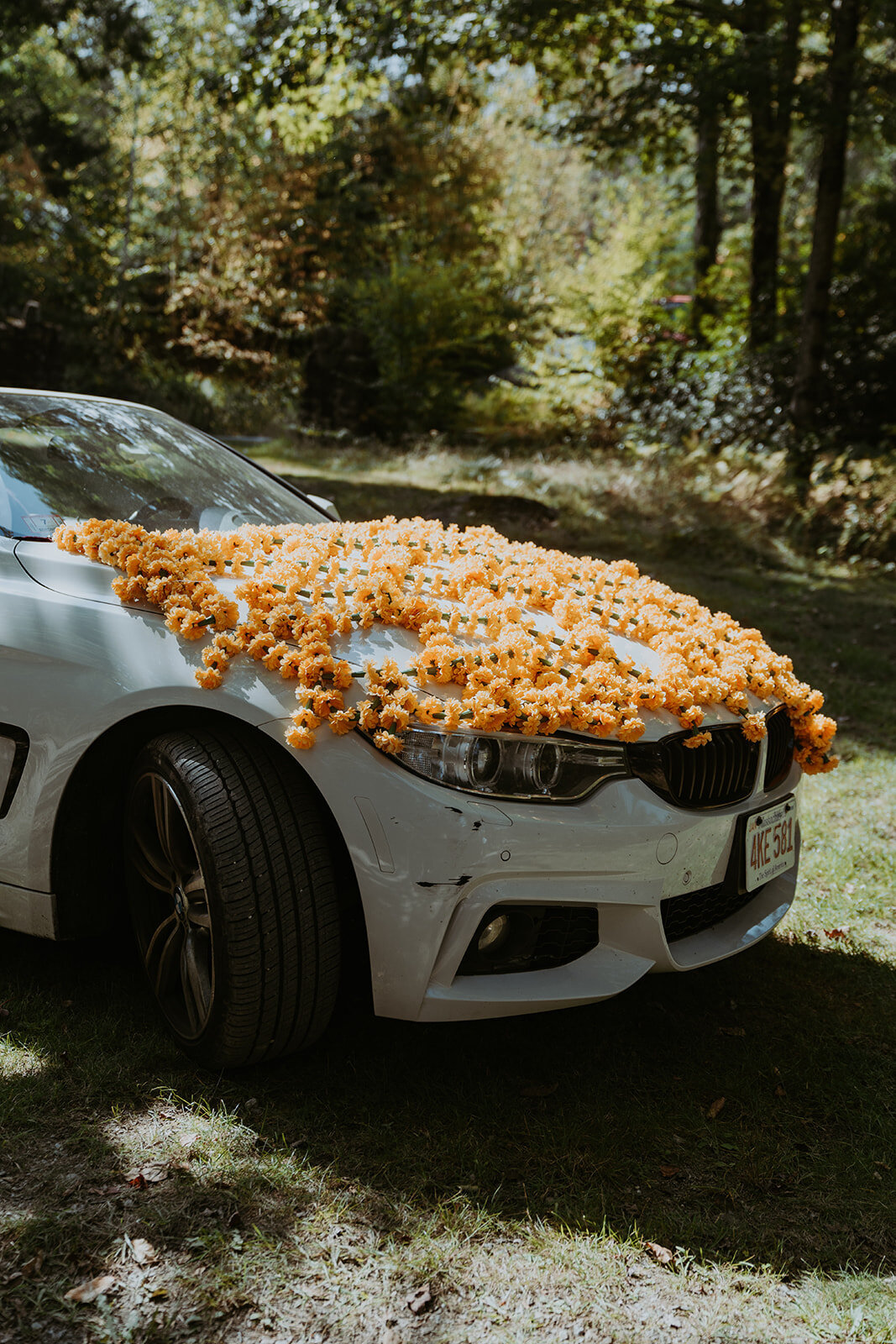 indian-wedding-lakefalls-lodge-675