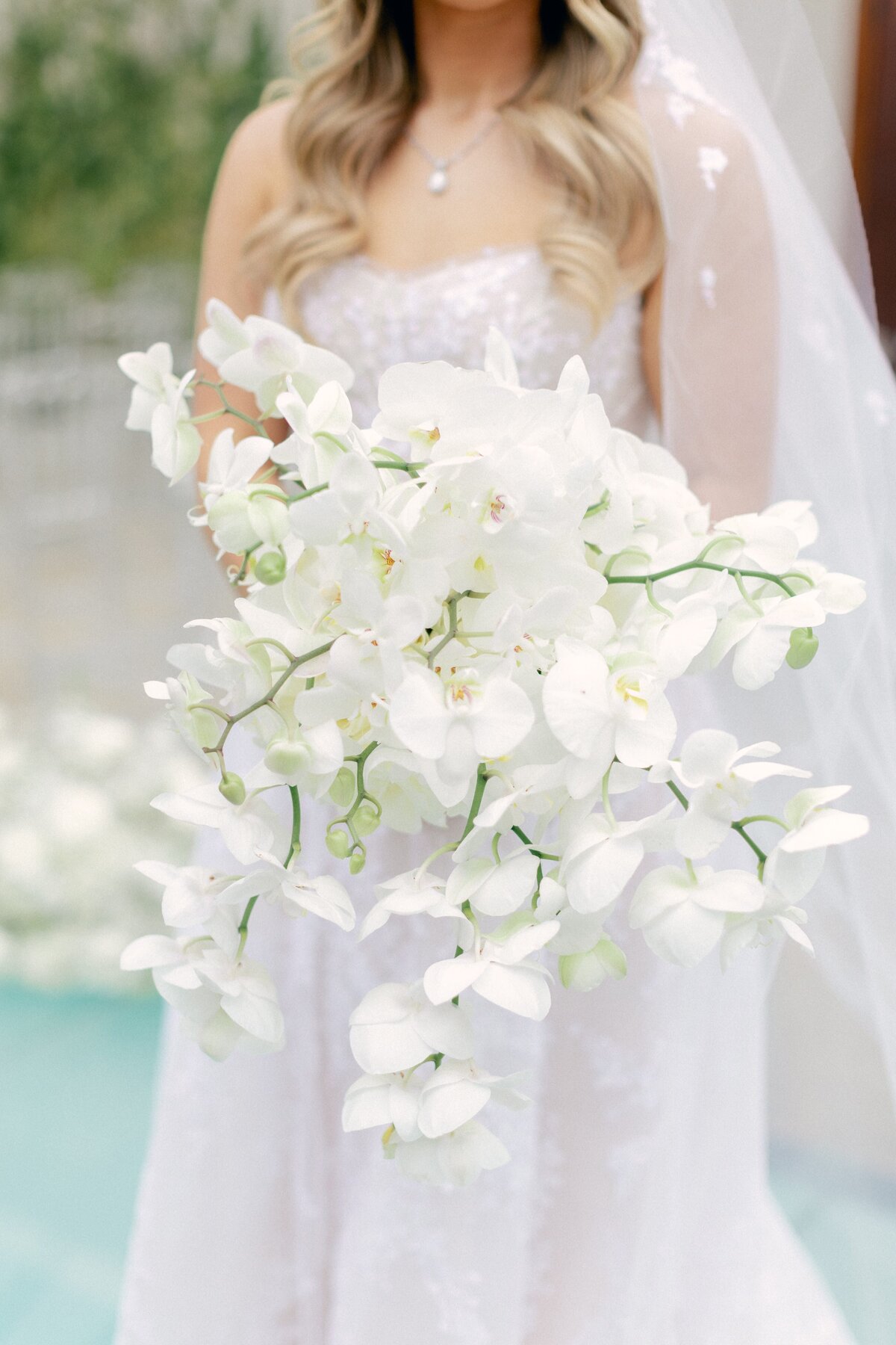 Lindsey-and-Justin-Wedding-Emily-Nicole-Photo-321