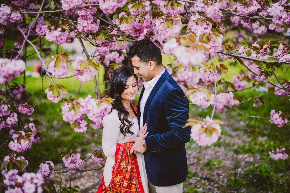 A couple sharing a moment with cherry blossom flowers all around them as they stand inside the tree during their engagement session at central park