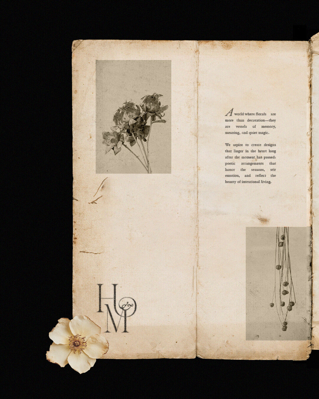 Honey and the Moon - 3