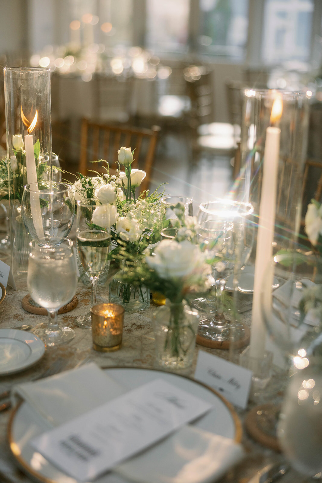 jackiesteele-141_websize