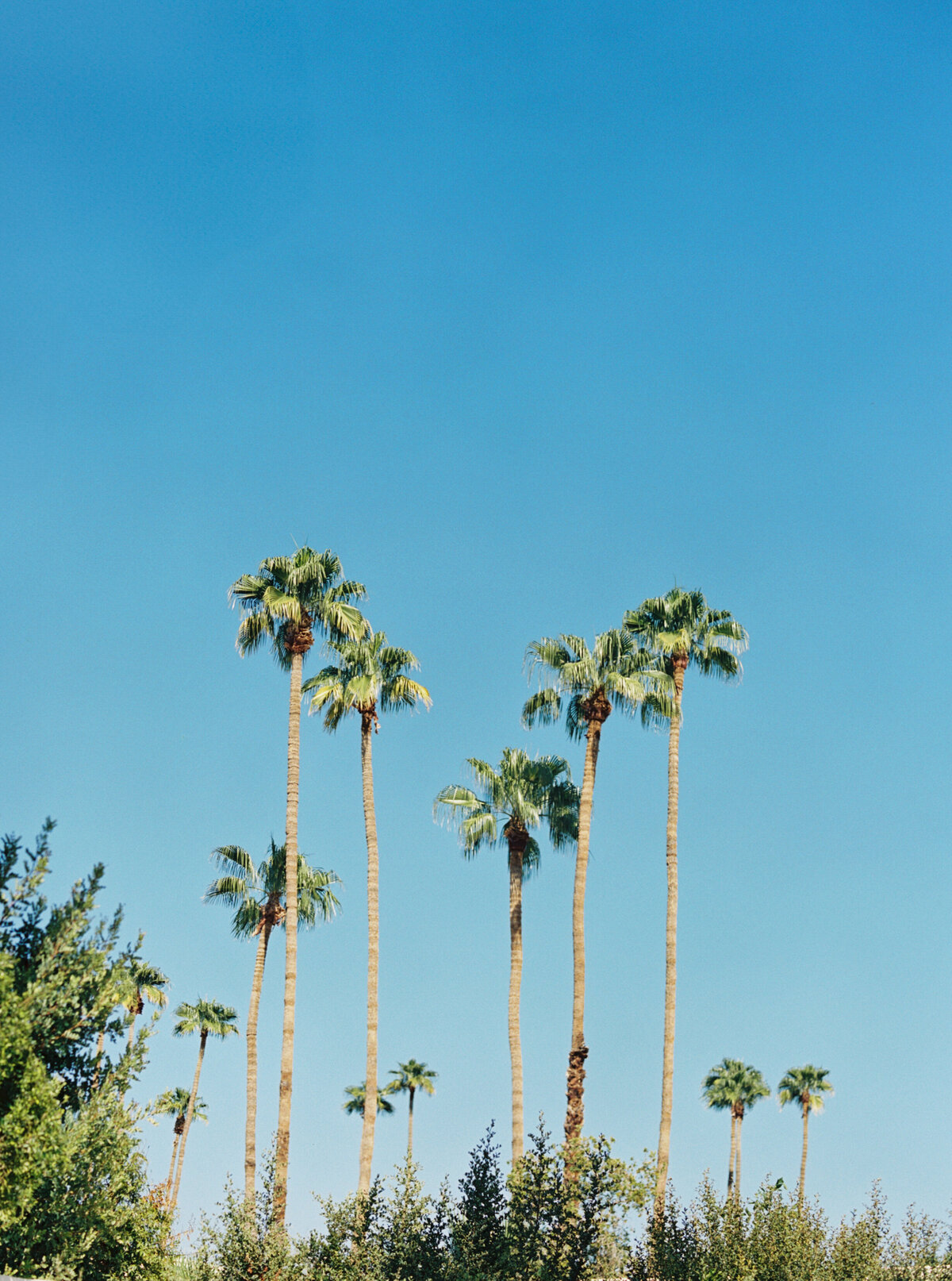 Parker_Palm_Springs_Wedding_018