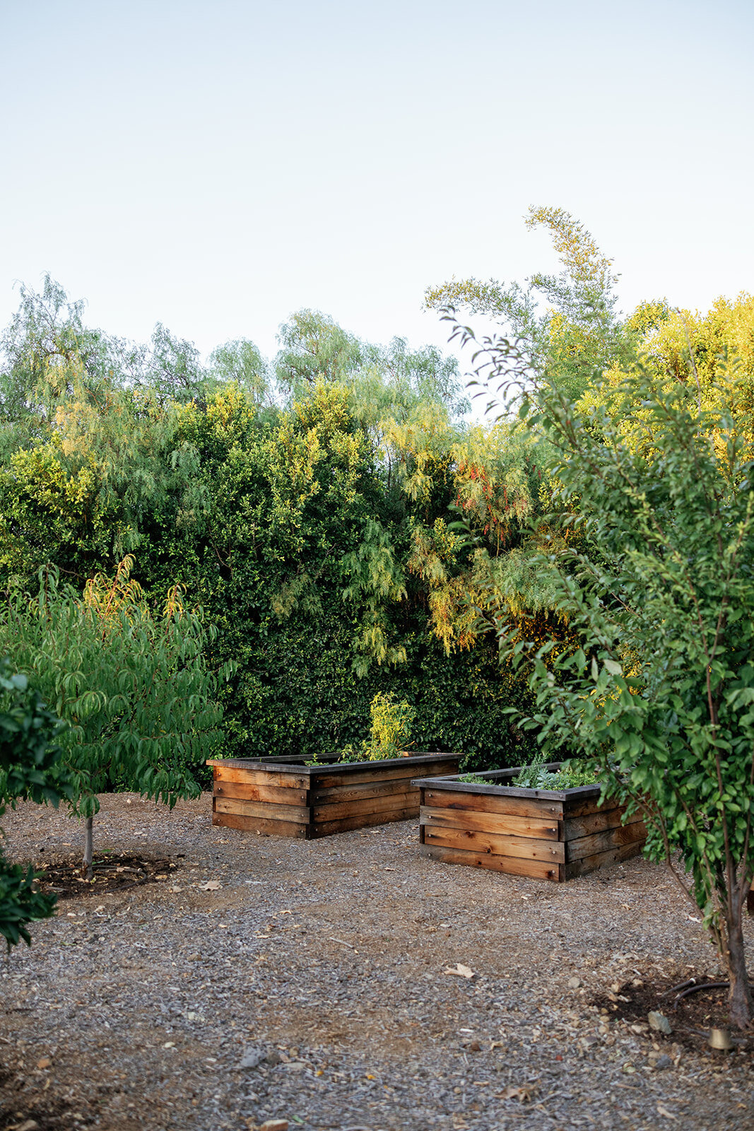 Rancho_Santa_Fe_wedding_venue_Estate_wedding_luxury_wedding_planner_wedding_tour_ San_Diego_weddings1836