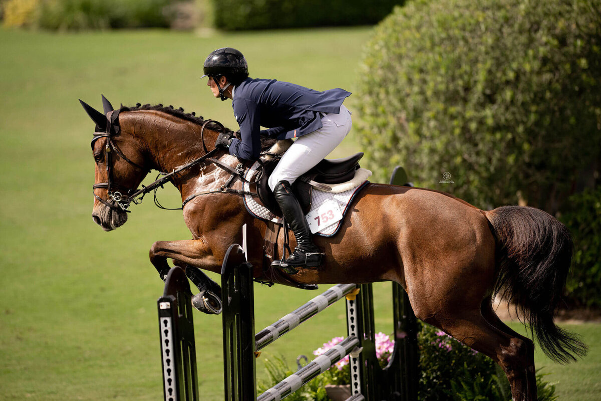 US EQUESTRIAN TEAM_BEST EQUESTRIAN RIDERS IN THE US_FLORIDA SHOWJUMPING