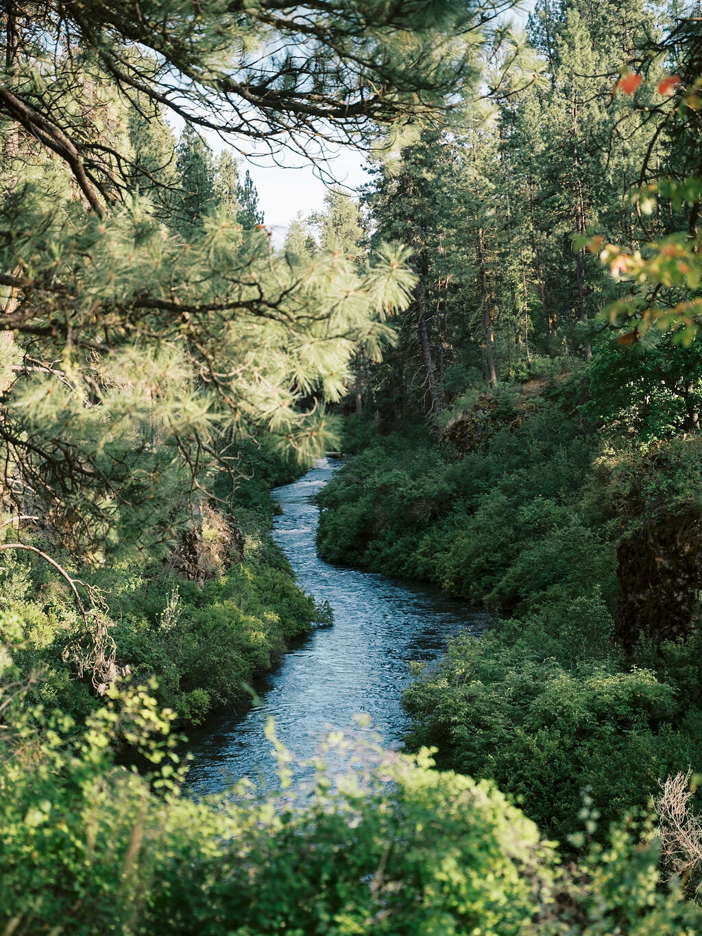 metolius-river-oregon