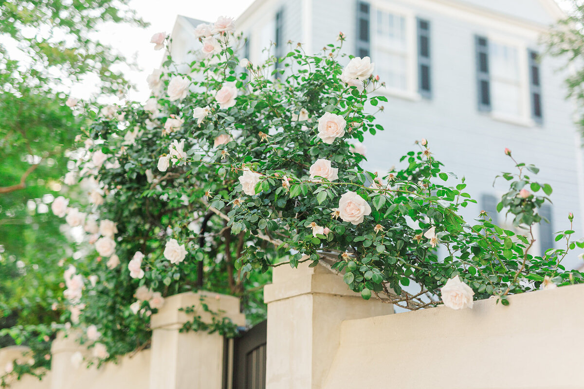 Charleston Engagement Photographer | Laura and Rachel Photography