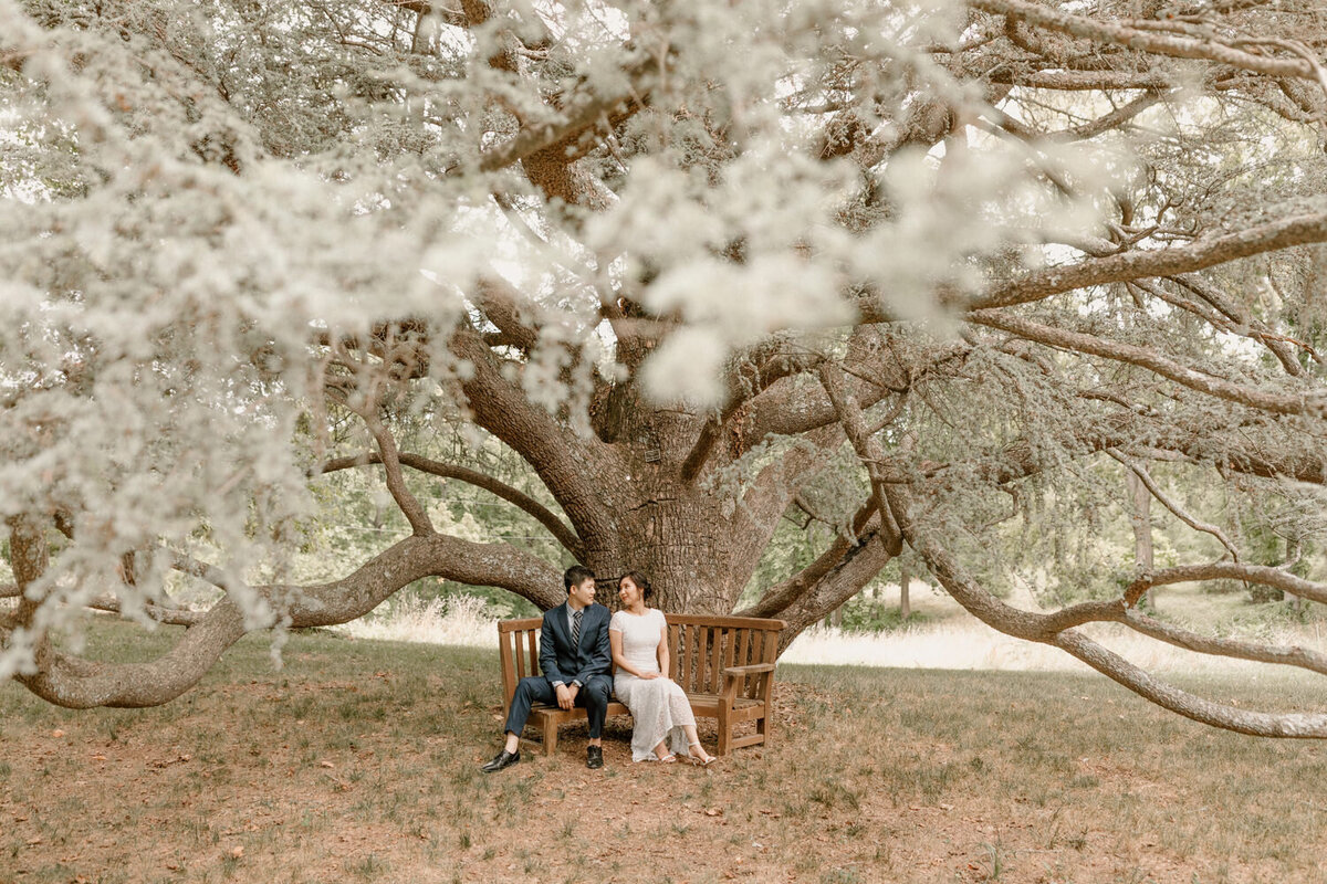 bride and groom sitting under tree