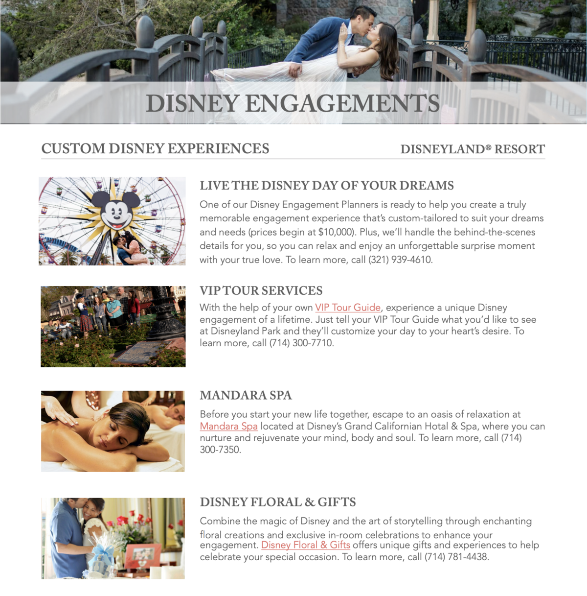 DFTWH Engagements DLR PDF