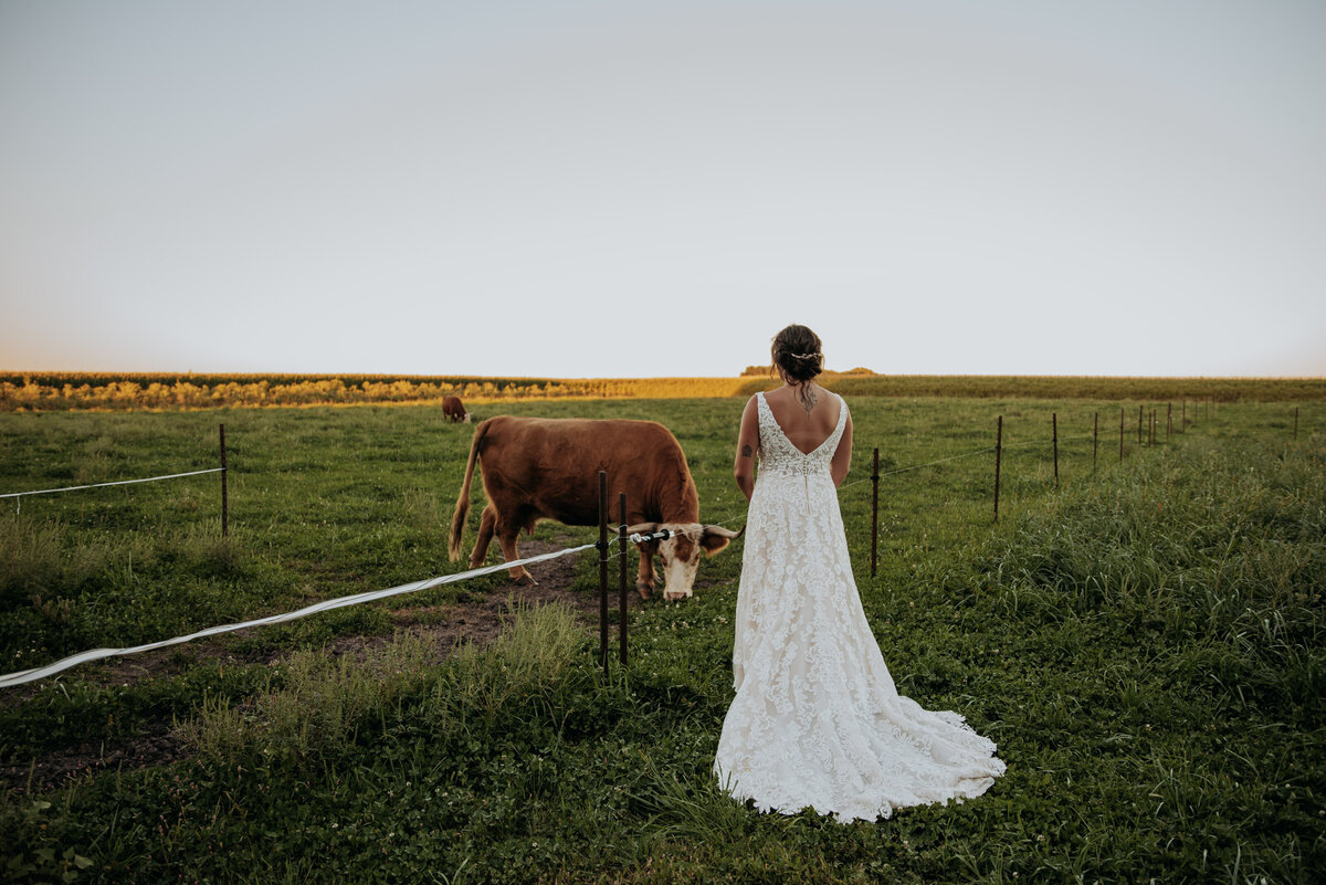 ranch wedding, barn wedding, country wedding, brides, brides dress, bridal gown , mankato wedding, minnesota wedding, barn wedding