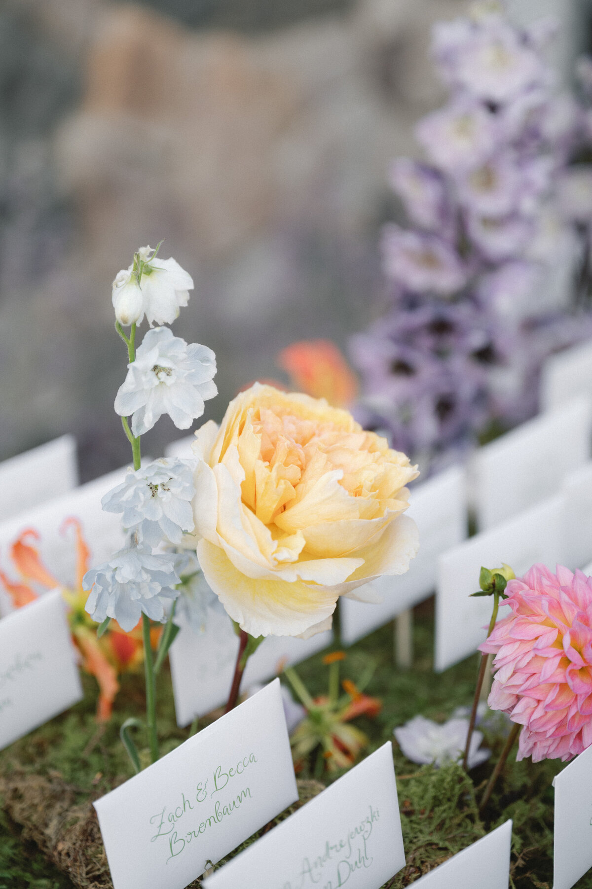 jenna-matt-wedding-preview-86