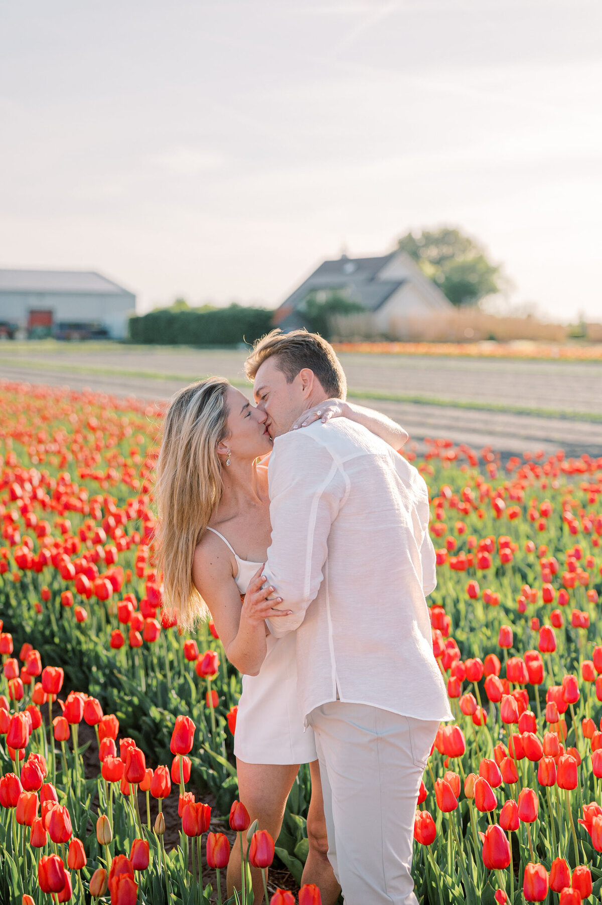 tulip-field-proposal-amsterdam-035