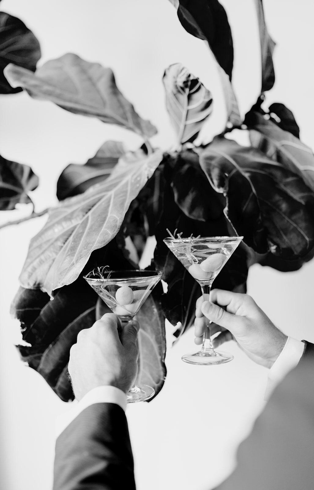alexjonbrandingphotos-126