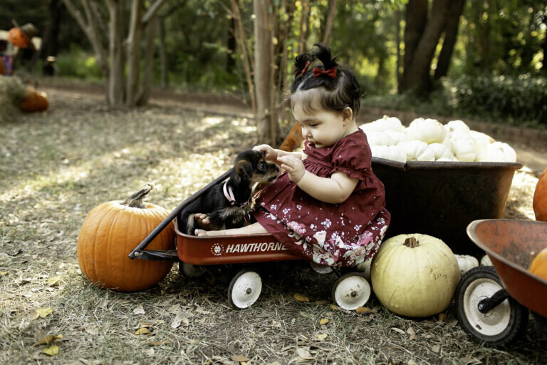One-year-old birthday child standing in a beautiful park, dressed in a festive outfit, celebrating their birthday in nature