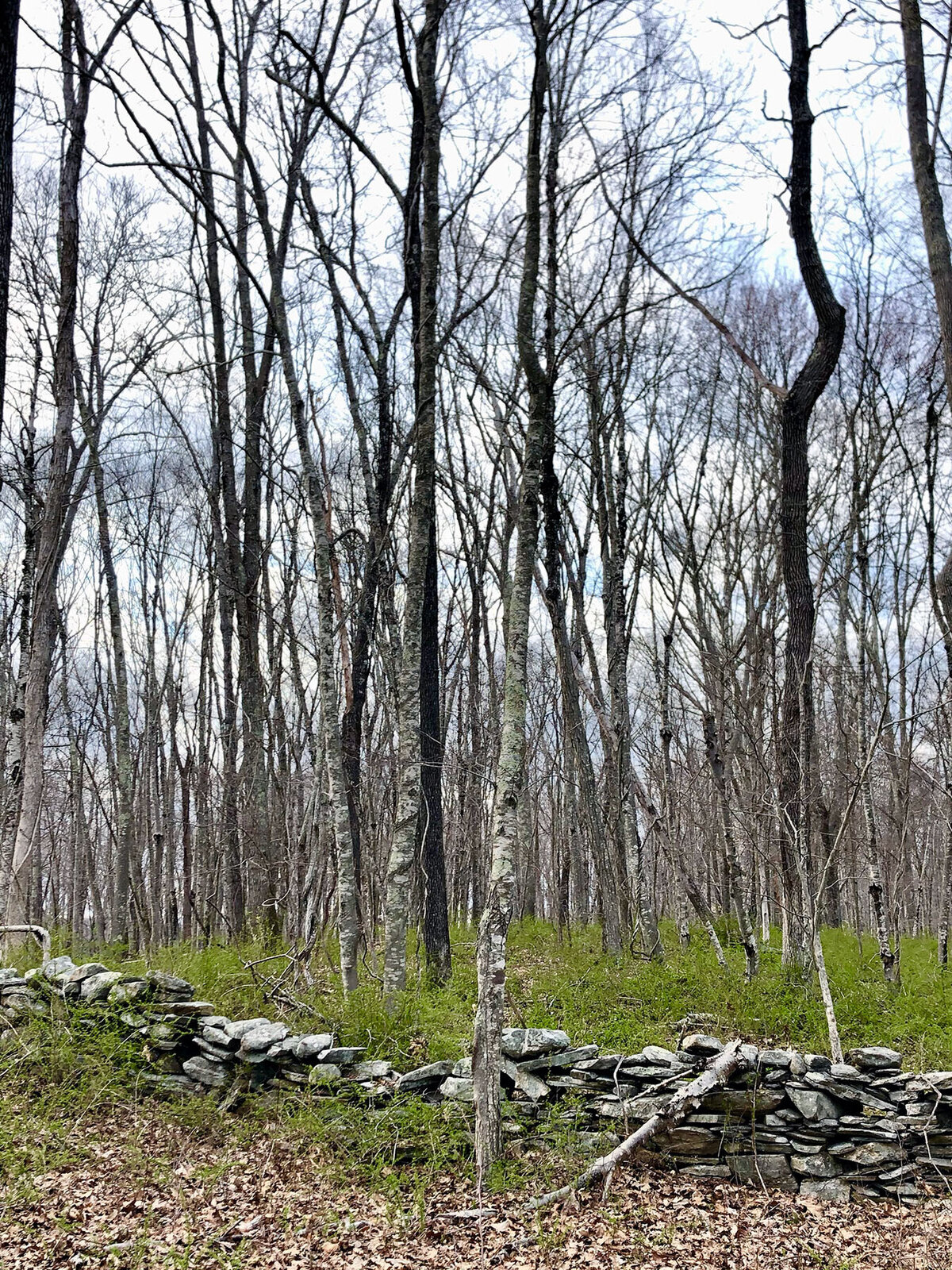 CCC_Estuary_64