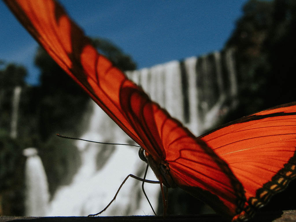 Ashley Kaplan Photography San Francisco Bay Area Travel Adventure Nature Photographer-2